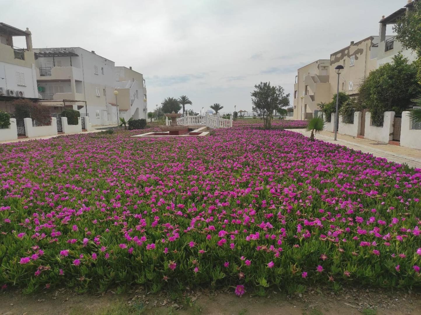 Mar Y Sol 344 Villa Playas de Vera Exterior photo